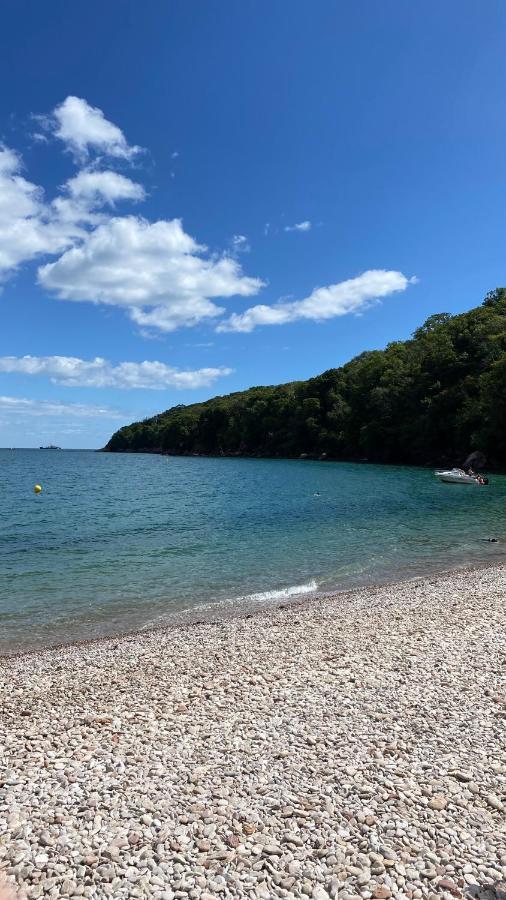 The Bonting Beautiful Three Bed Townhouse Near Harbour And Beach Torquay Esterno foto